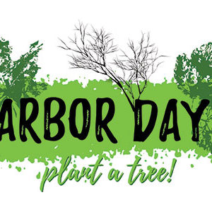 Arbor Day, Plant a tree