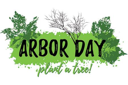 Arbor Day, Plant a tree